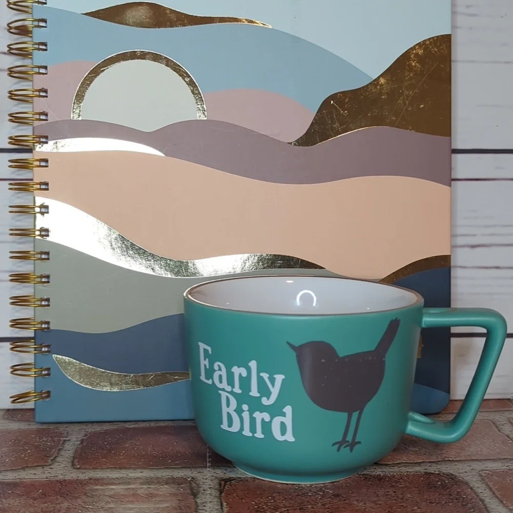 Turquoise Teal Early Bird Stoneware Wide Mouth Mug or Soup‎ Cup with Grey Bird